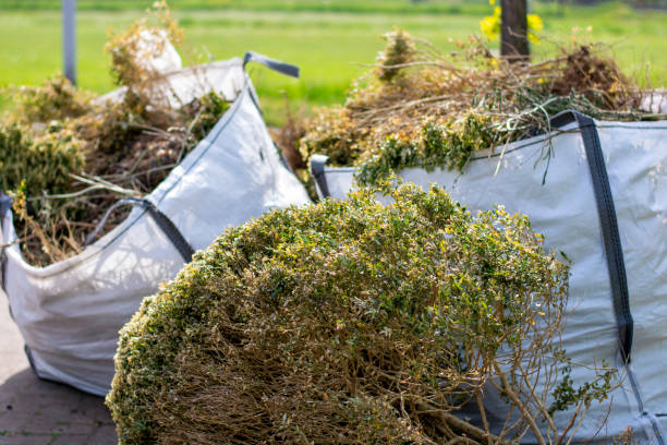 Attic Cleanout Services in La Crescent, MN